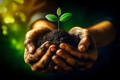 Picture of ISLAM and Ecology